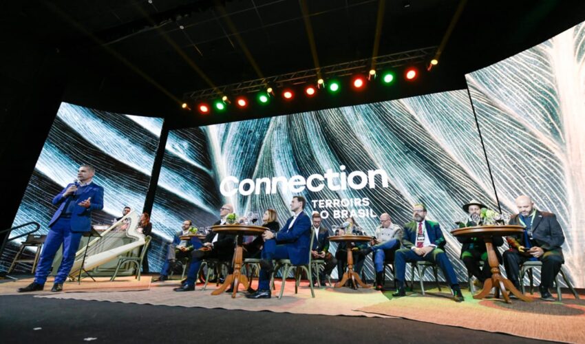 Connection_2026