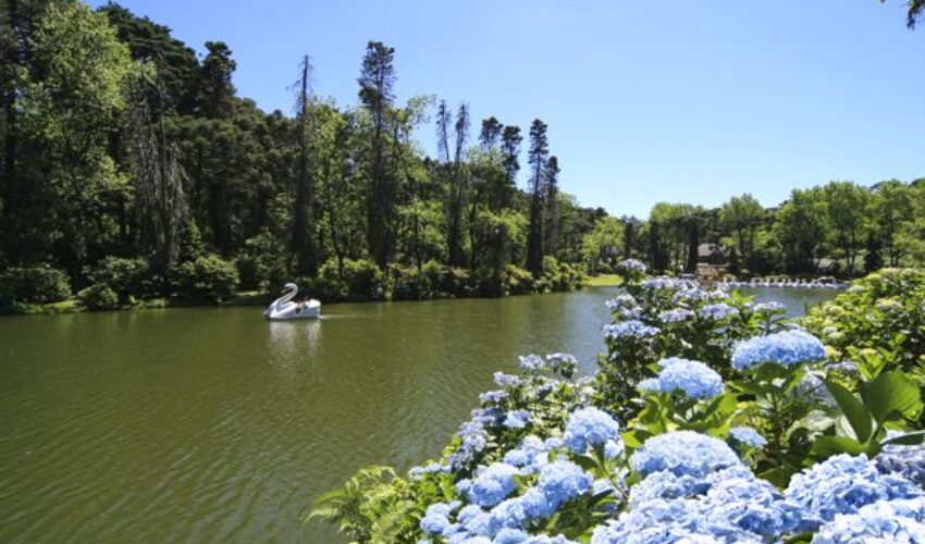 Foto Gramado créditos Cleiton Thiele 8824 - Copia