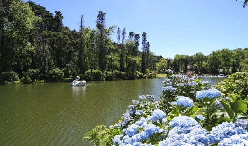 Foto Lago Negro créditos Cleiton Thiele 8824 - Copia (00000002)