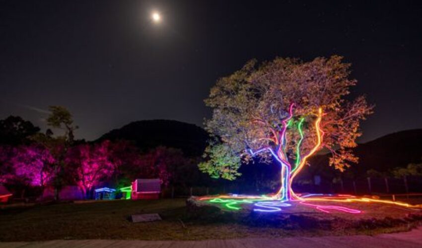 Foto Lumni Experience, uma atração sensorial inédita inaugura em junho em Gramado.2