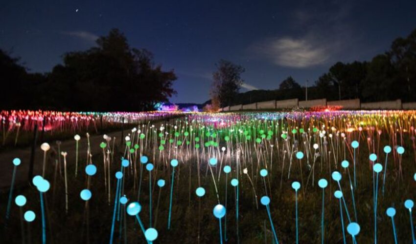 Foto Lumni.campo de luzes.REDUZIDA