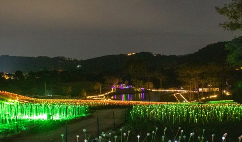 Foto Lumni.campo.2.REDUZIDA