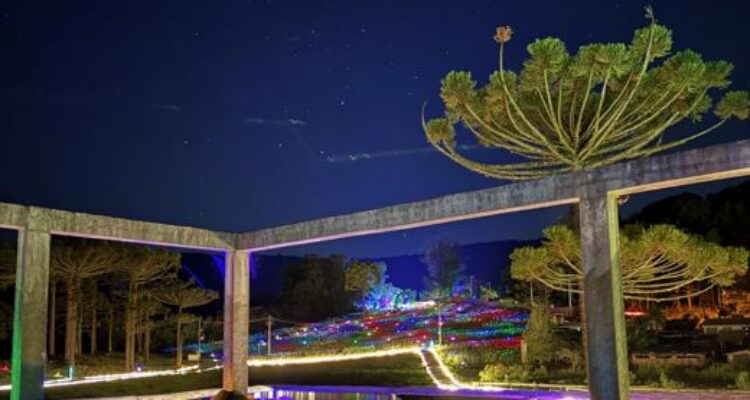 Foto Lumni.fevereiro 2026.1.REDUZIDA.vertical