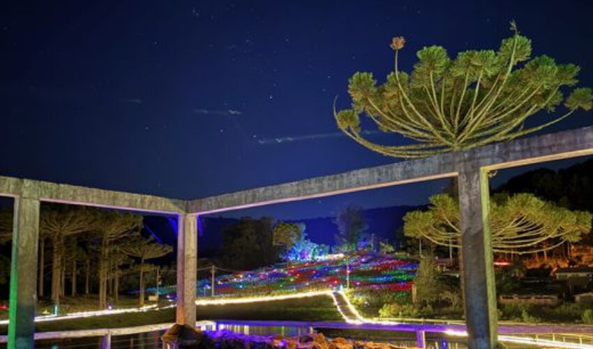 Foto Lumni.fevereiro 2026.1.REDUZIDA.vertical